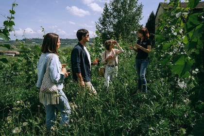 Authentic Piedmont wine tour with a local Sommelier