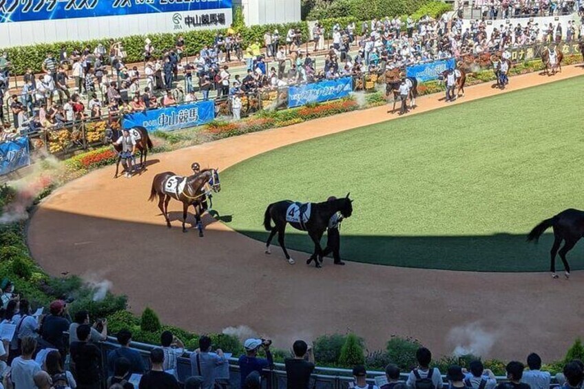 Tokyo Horse Racing and Gambling Tour