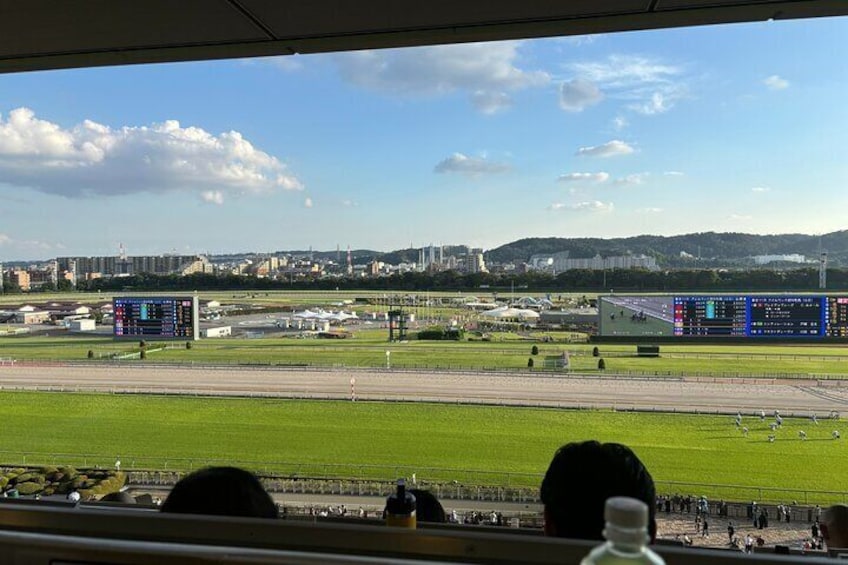 Tokyo Horse Racing and Gambling Tour