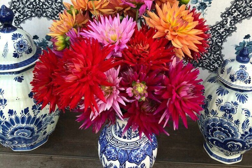 Colorful dahlias.