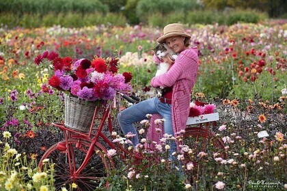 Dahlia Tour in Voorhout