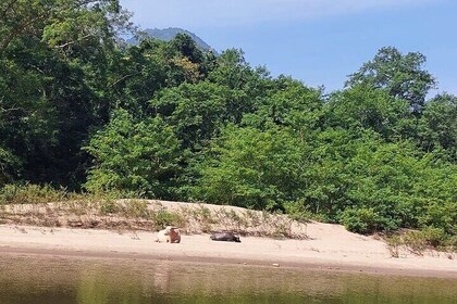 Nong khiaw, 1Day Muang Ngoy Waterfall, Local Village and Kayaking