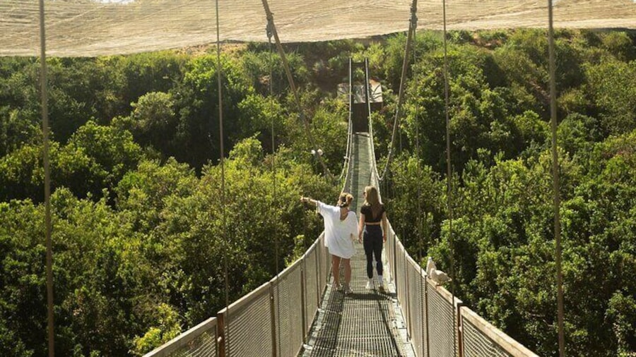 Discover the Tricao Park Aviary in a Full Day