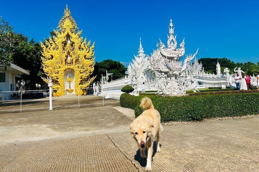 Chiang Rai Private Bespoke Sightseeing Tour