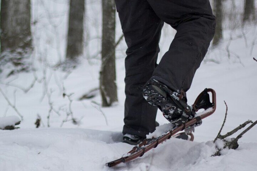 Snowshoe Hiking Day from Lucerne