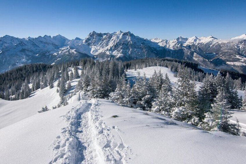 Snowshoe Hiking Day from Lucerne