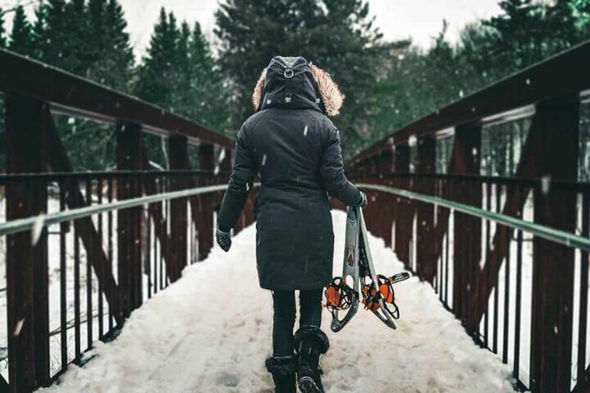 Snowshoe Hiking Day from Lucerne