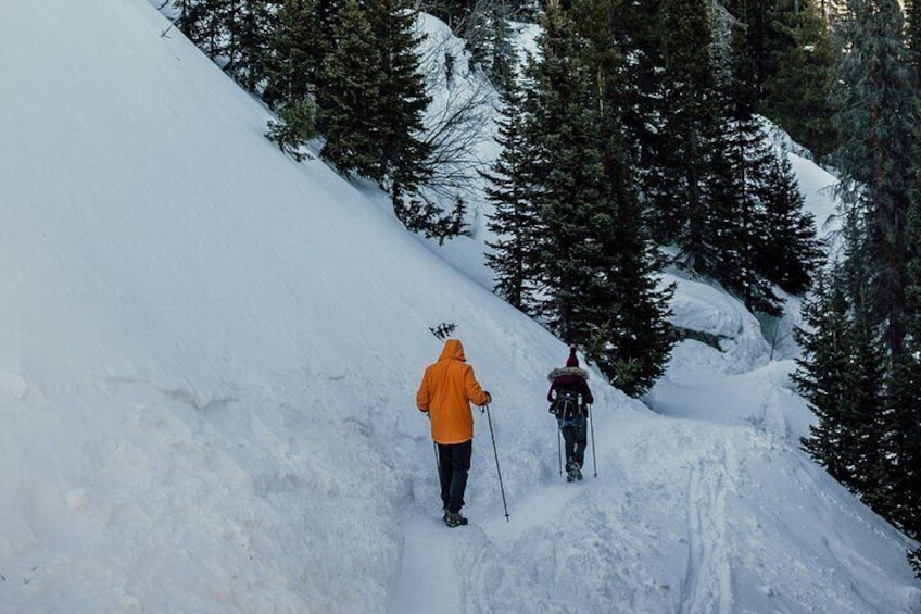 Snowshoe Hiking Day from Lucerne