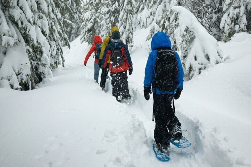 Snowshoe Hiking Day from Lucerne