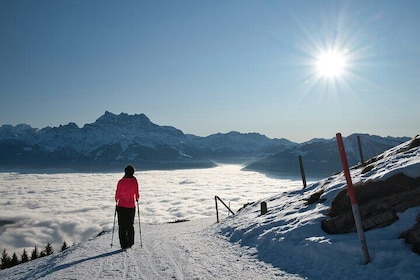 Snowshoe Hiking Day from Lucerne