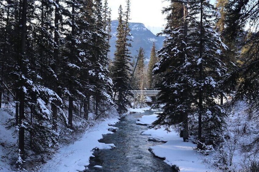 Banff National Park Exclusive Small Group Tour