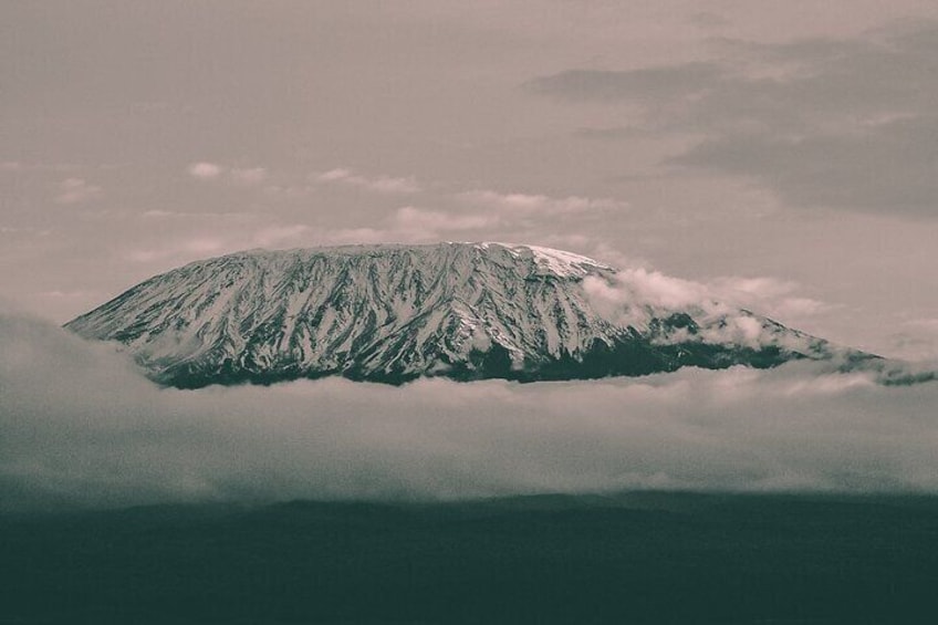 Kilimanjaro Wanderlust Day Hike