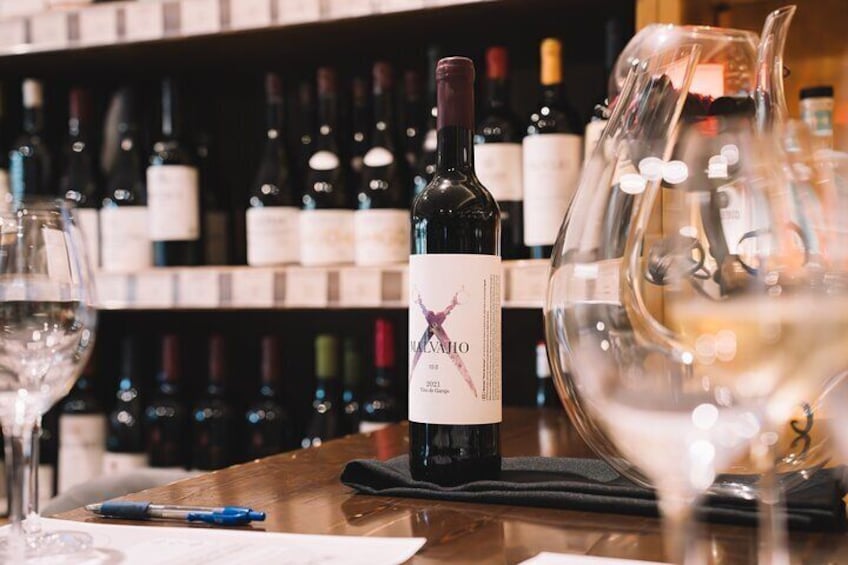 Andalusian Wine Tasting in Cala de Mijas - 4 Top Wines + Tapas