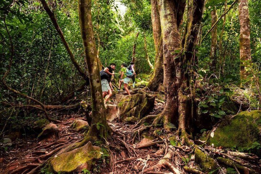 CLIMBING UP MORNE BLANC NATURE TRAIL