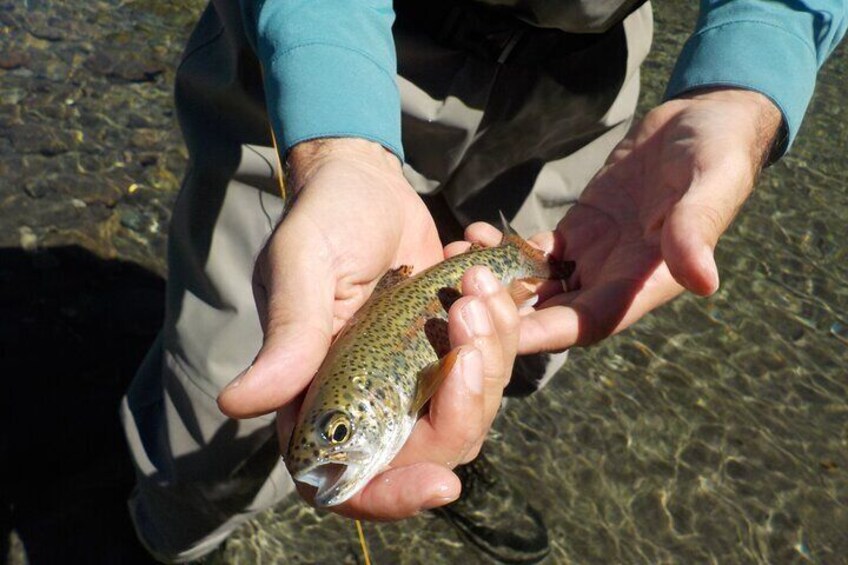 They will be able to fish their first trout