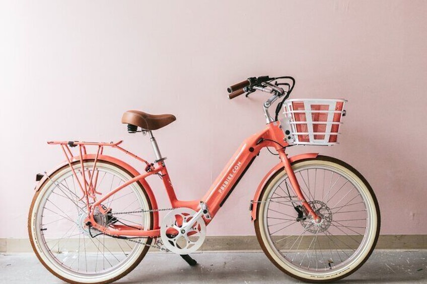 Join us for a ride on a premium and stylish cruiser Ebike to discover downtown WPB and Palm Beach.