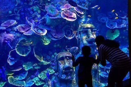 Toegangsticket voor Nationaal Aquarium Abu Dhabi