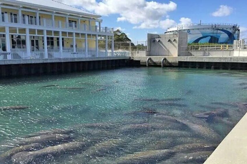 West Palm Beach Private Boat Cruise and Tour with a Captain