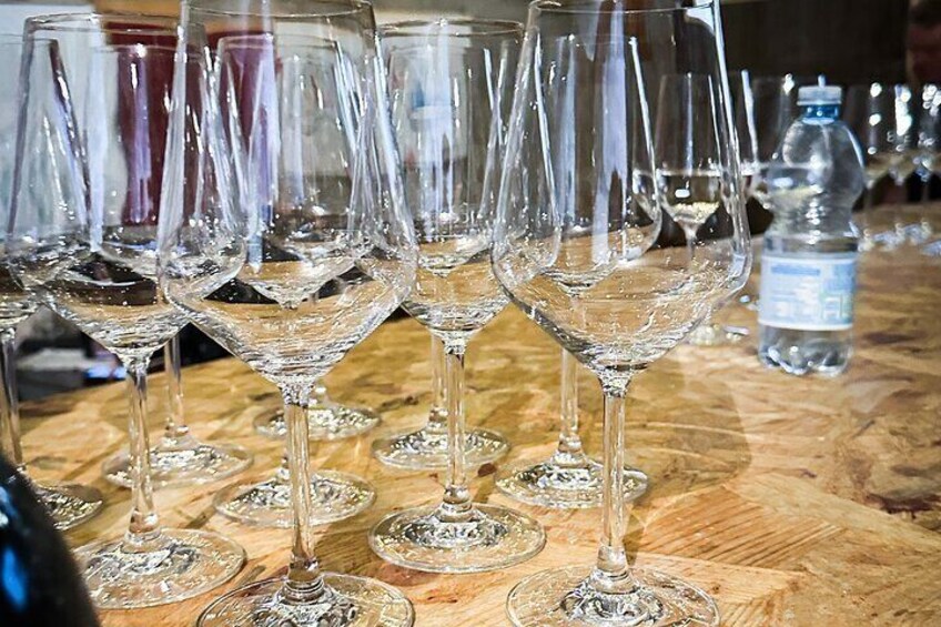Teroldego Vineyards Tour and Wine Tasting in Mezzocorona