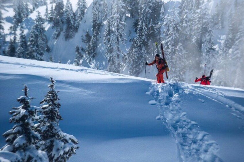 Private All Inclusive Winter Adventure in Banff