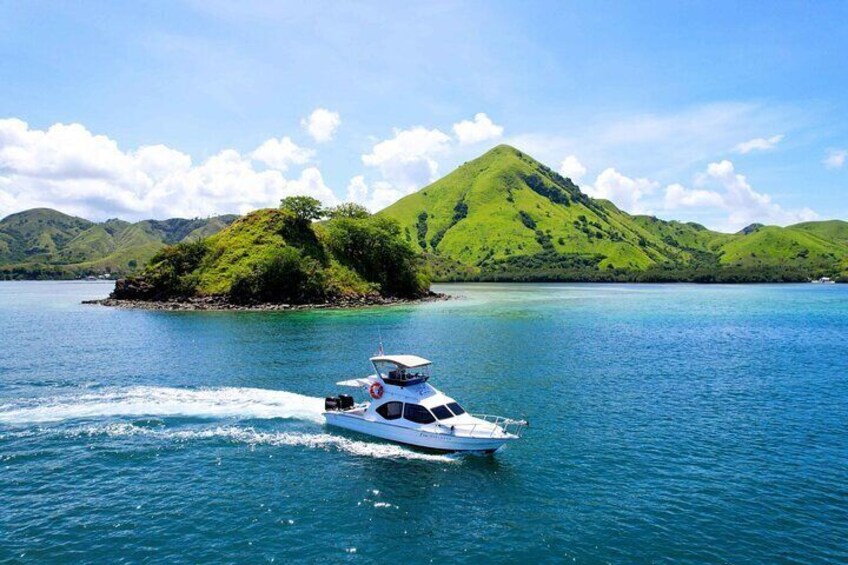 Komodo Island Adventure from Bali (Day Trip)