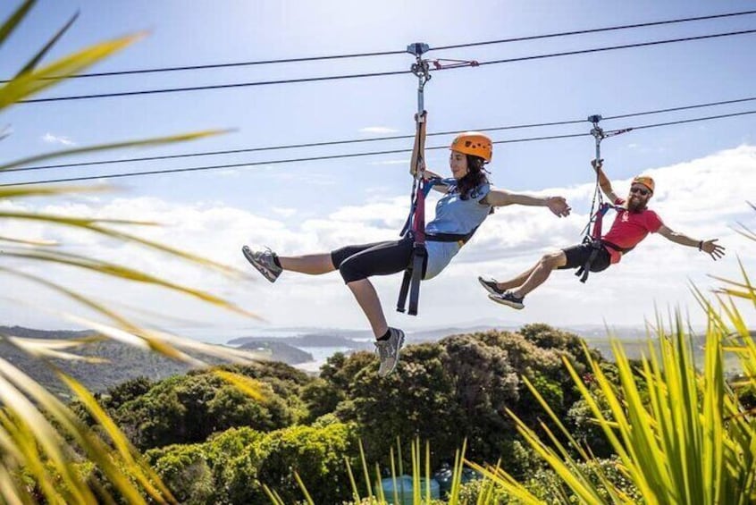 ZIP lines