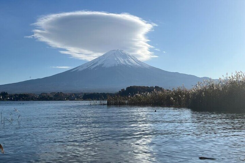 Tokyo Mount Fuji and Hakone Private Tour