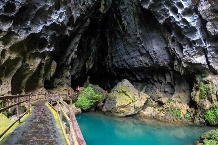 From Dong Hoi: Dark Cave and Phong Nha Cave Tour with Lunch