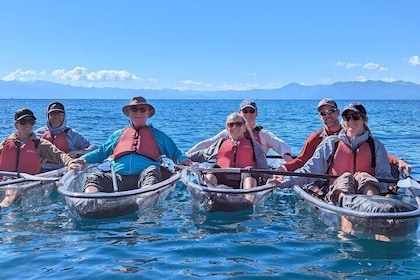 Clear Kayak Tour