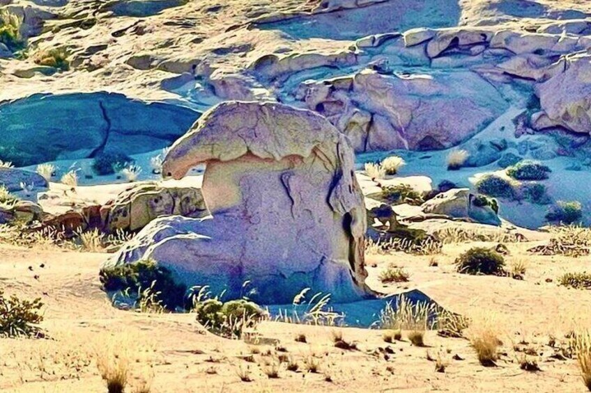 Holiday and Adventure Travel to Namibia