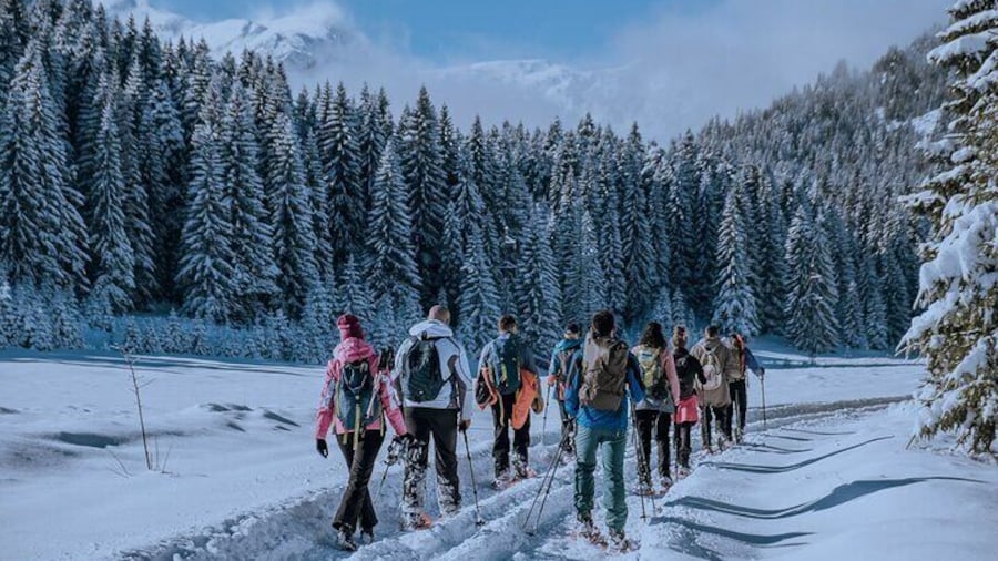 Montenegro Snowshoeing Durmitor