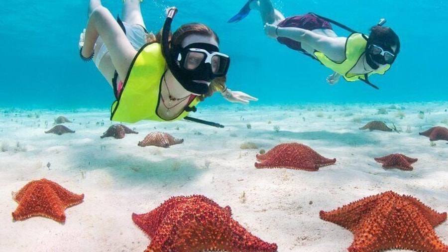 Cayman 3 in 1 Combo: Starfish Point, Stingrays and Reefs