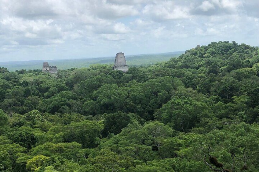 Tikal: Where history comes alive among the jungles of Guatemala.