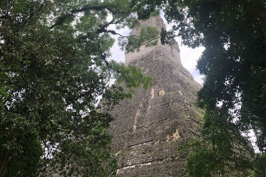 Immerse yourself in the magic of ancient Mayan civilization: Explore Tikal today!