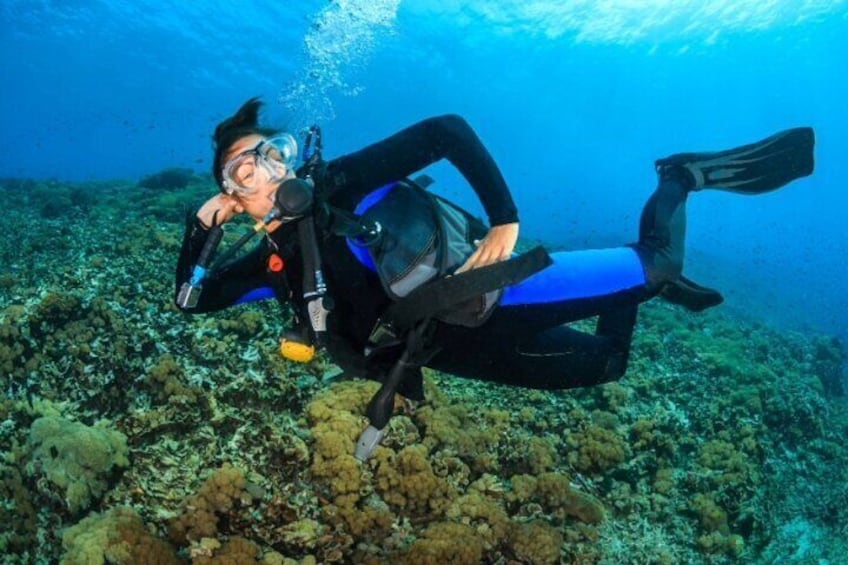 Premium PADI Advanced Open Water Course (6 Dives-2 Days)
