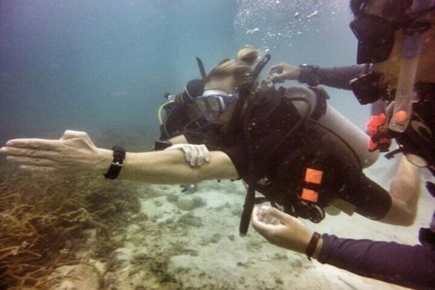 2 Days Advance Open Water Course in Phuket