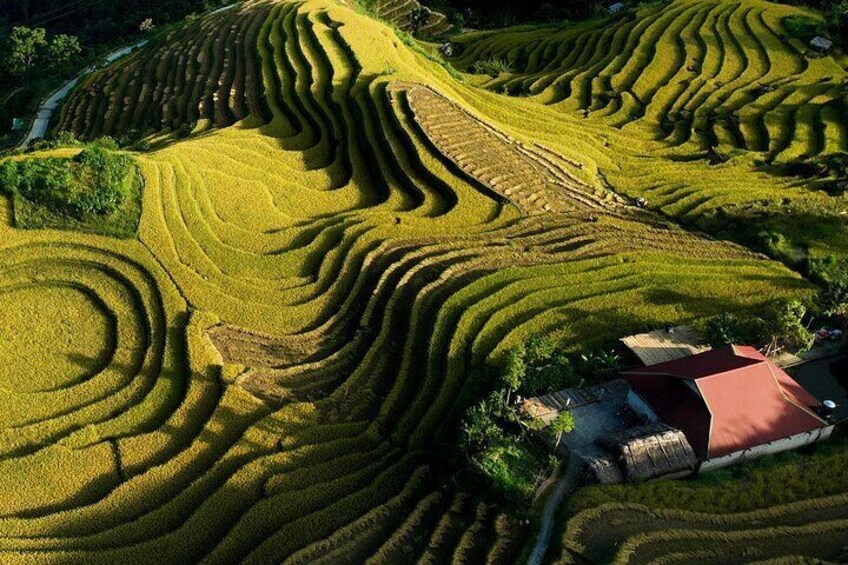 The ricefield terrace