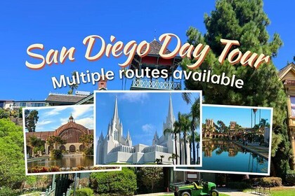 Excursión privada a San Diego con chofer diario