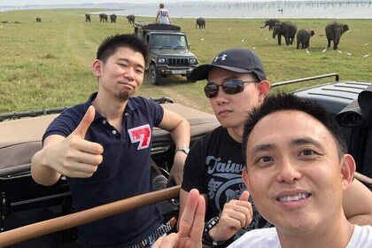 8 Days Tour Sri Lanka (Hotels, Breakfast, Dinner & Luxury Car)