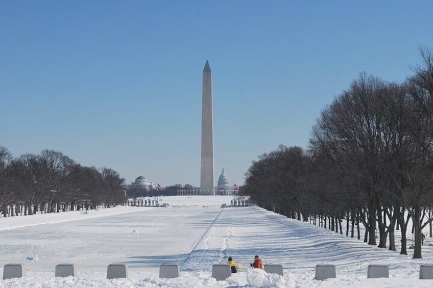 Washington Private Sightseeing Tour with Daily Chauffeur