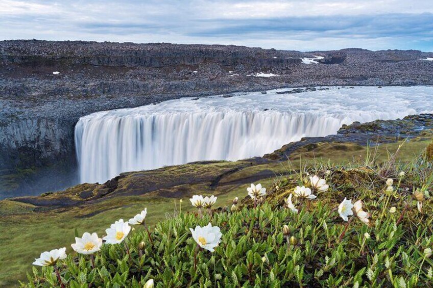 Dettifoss Waterfall