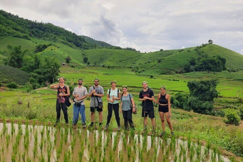 Rice terrace view.