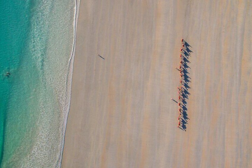 Camels on Cable Beach