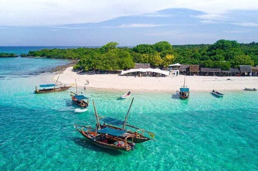 Mnemba Snorkelling and Dolphin Tour in Nungwi