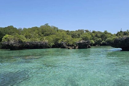 Mnemba Snorkelling and Dolphin Tour in Nungwi