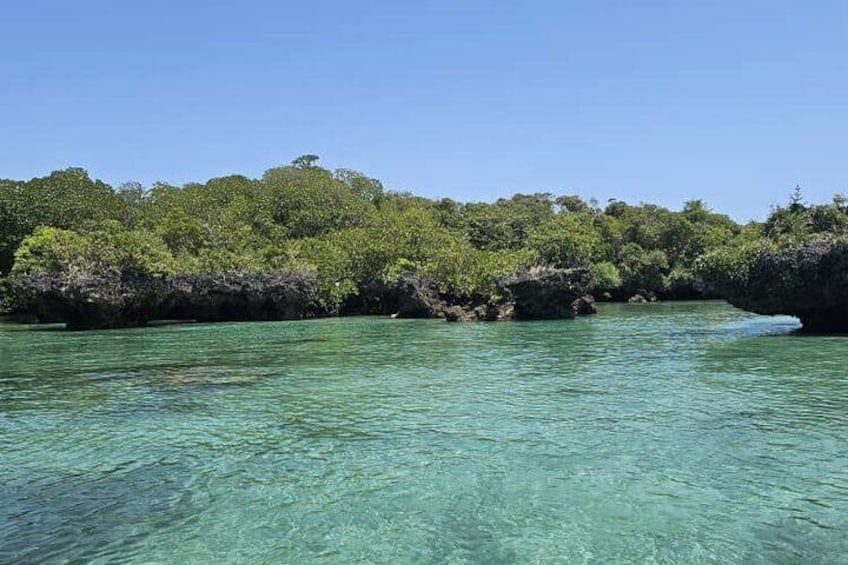 Mnemba Snorkelling and Dolphin Tour in Nungwi