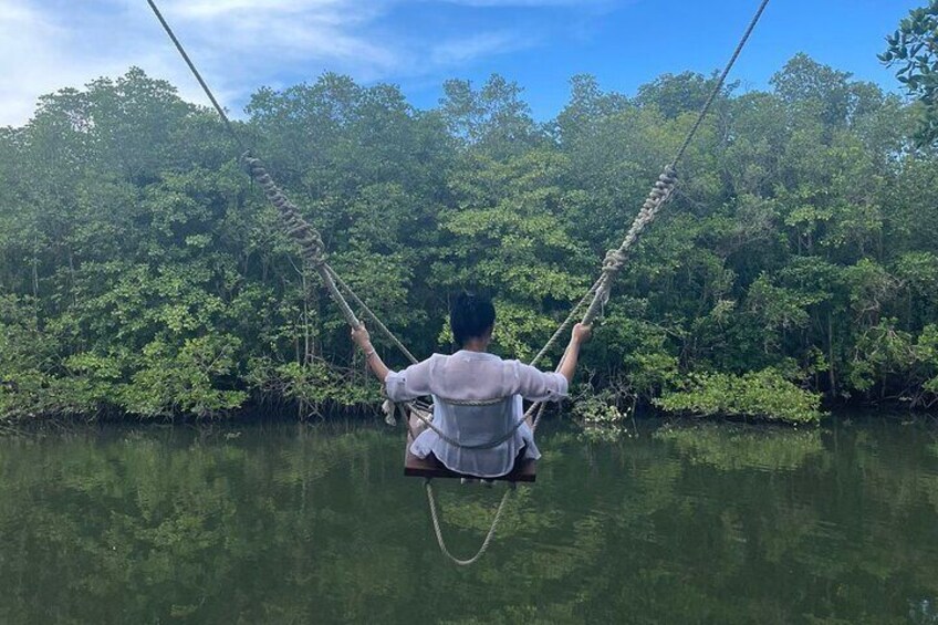 Bintan Mangrove or Fireflies Discovery Tour