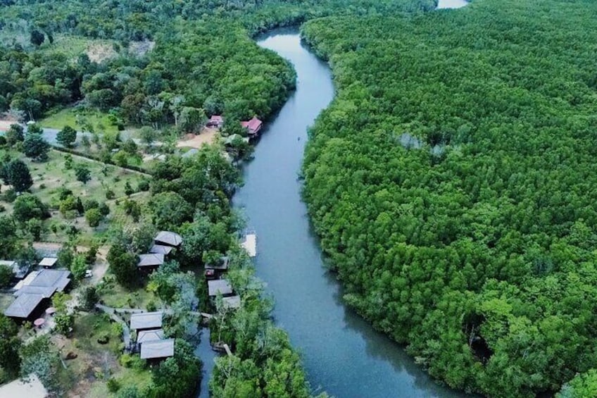 Bintan Mangrove or Fireflies Discovery Tour