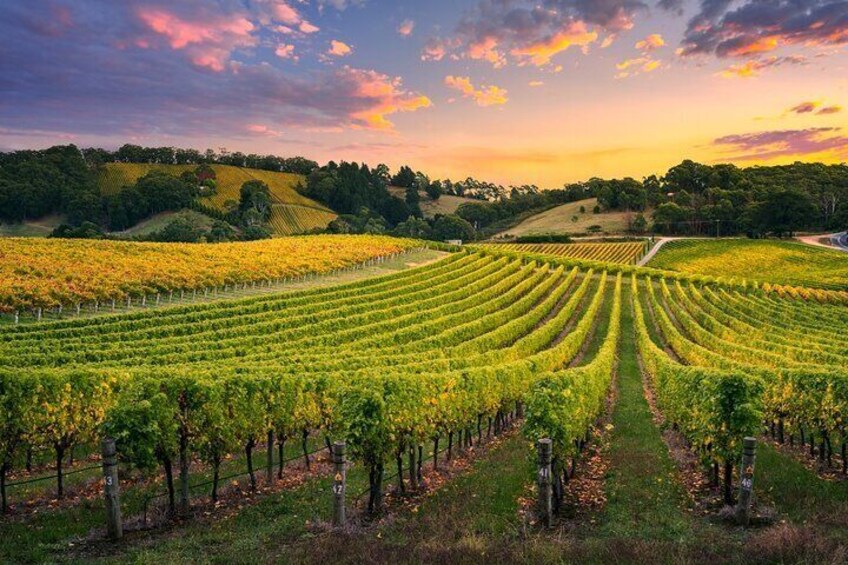 Beautiful vistas of wineries perched on cliff faces as we drive the southern edge of Tasmania.