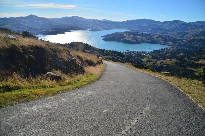 Small Group Tour Akaroa and Banks Peninsula from Christchurch